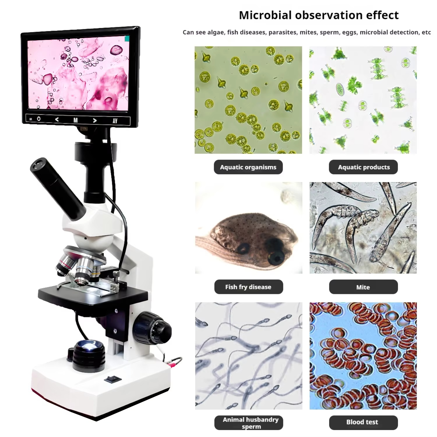 Top Selling HD Screen Digital  - огляд і ціна Medical Lab Microscope