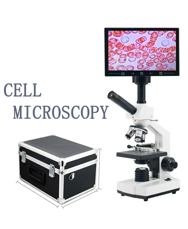 High-definition professional c - огляд і ціна Medical Lab Microscope