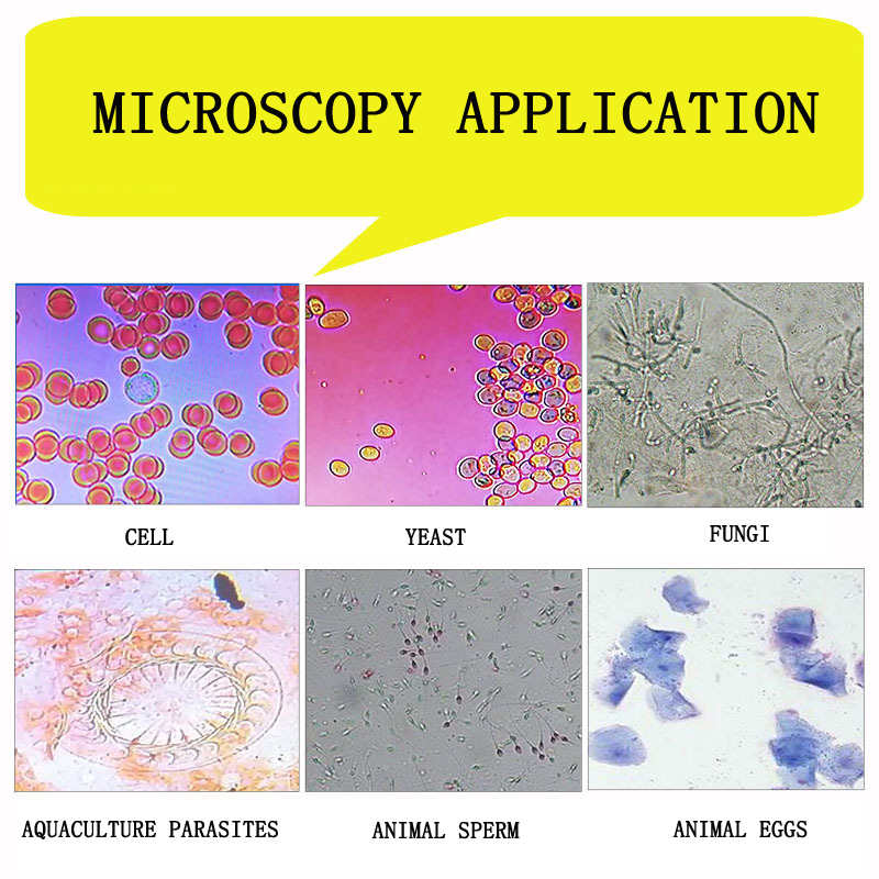 High-definition professional c - огляд і ціна Medical Lab Microscope